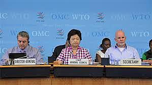 Declaración de Doha