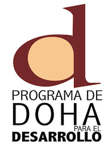 CONFERENCIA MINISTERIAL DOHA 24 Nov 2001