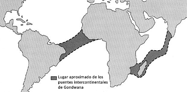 Theodor Arldt y los Puentes Intercontinentales