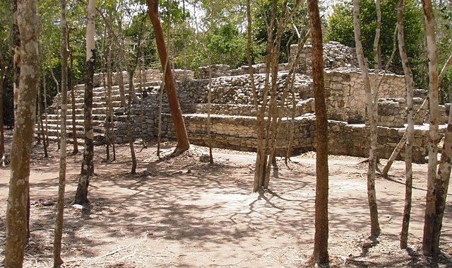 Cobá