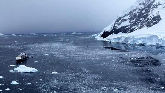 Hallan huesos de un marsupial en la Antartida