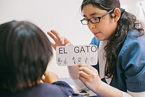 Dr. Rafael Santamarina.