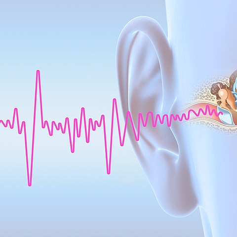 Comienza a sufrir de Tinnitus