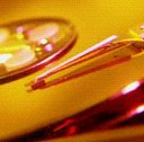 “Economía pública"