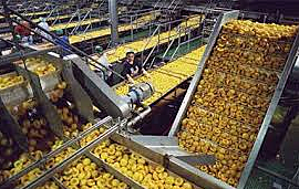 Procesado de los alimentos