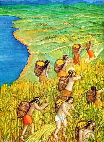 Cultura Purépecha (ESTRUCTURA SOCIAL)