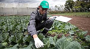 PROGRAMA DE PROMOCIÓN PROFESIONAL URBANA Y RURAL