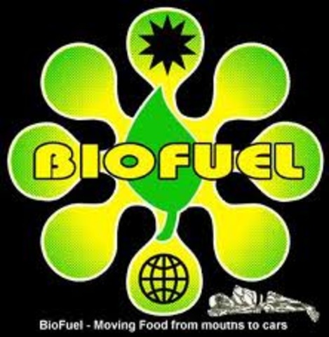 Bifouels Security Act Proposed