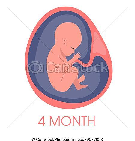 4 months
