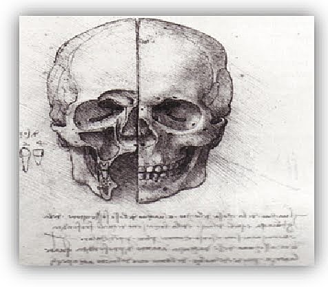Odontología en el renacimiento
