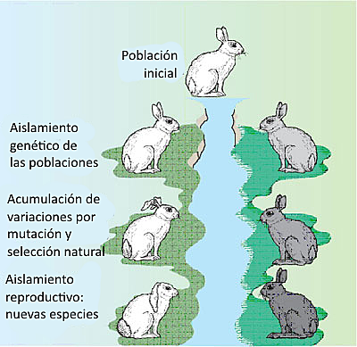 La hipótesis de Hallam