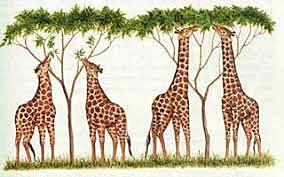 La Teoría Evolutiva de Lamarck