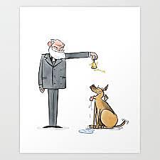 Pavlov y el Condicionamiento clásico.