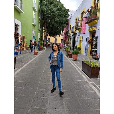 Timeline: Mis logros y mis fracasos