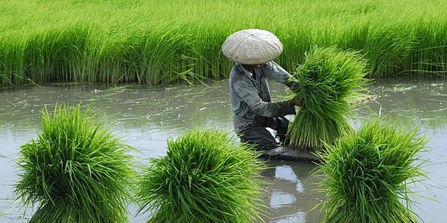 Modo asiatico de producción