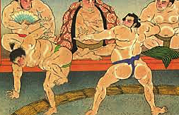 Sumo o Lucha 1100 AC