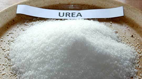 La Urea
