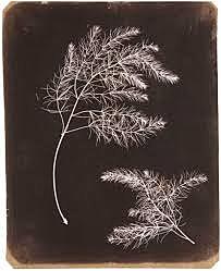 dibujos fotogénicos