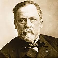 Louis Pasteur. Microbiología de la fermentación ácido-láctica