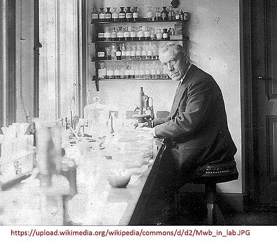 Martinus Beijerinck. Método de enriquecimiento de cultivos.