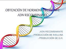 Stanley Cohen, Annie Chang, Roberty Helling y Herbert Boyer. ADN recombinante.