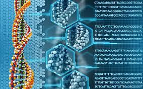 Secuenciación de genomas.