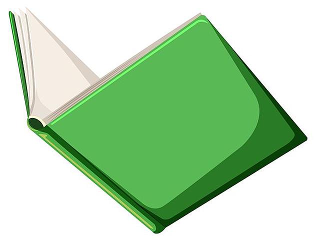 Libro Verde