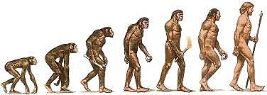 Hombre de Cromañón (Homo sapiens sapiens)