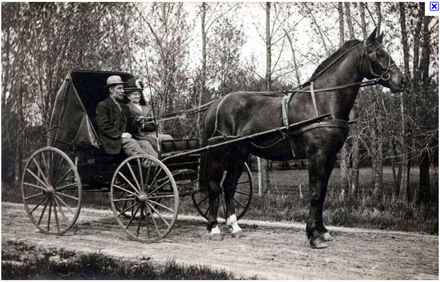 Horse and Buggy