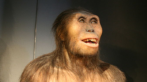 Aparicion do primeiro ser humano