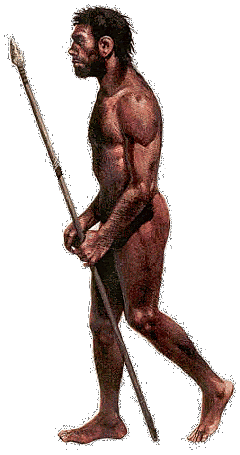 Hombre de Cromañón (Homo Sapiens Sapiens)