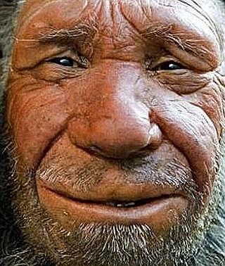 Hombre de Cromañón (Homo Sapiens Sapiens)