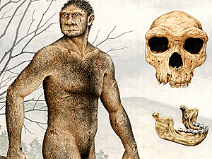 Homo heidelbergensis