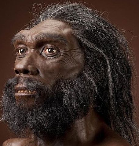 Homo heidelbergensis (encontrado en la Sima de los Huesos de Atapuerca)