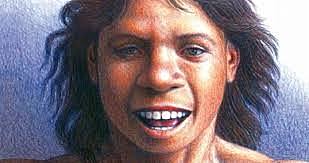 HOMO ANTECESOR (ATAPUERCA) 800000 a.C