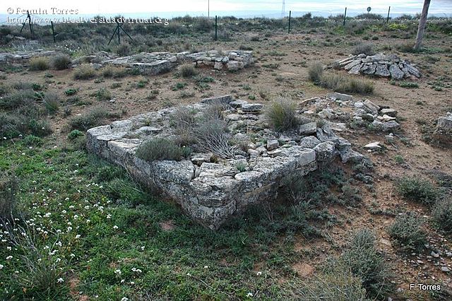Cultura de los campos de urnas