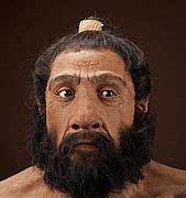 homo neanderthalis