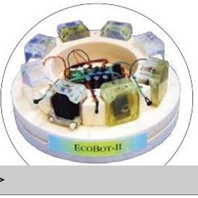 Ecobot