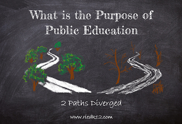 Two Track Educational System