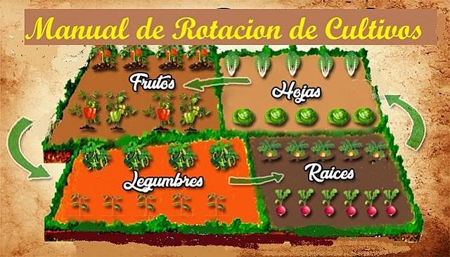 Rotación de cultivos