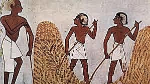 La Enfermedad y la Religión.