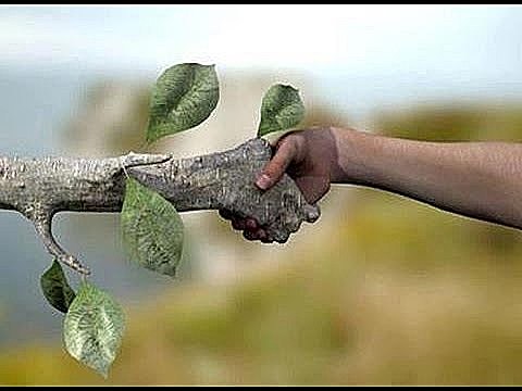 Otras nociones de causa.