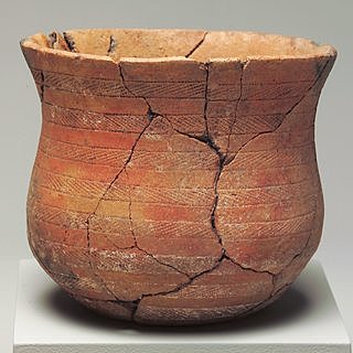 Cultura del campo campaniforme