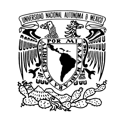 Timeline: Embriogénesis del sistema tegumentario