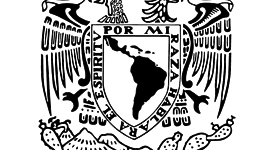 Timeline: Embriogénesis del sistema tegumentario