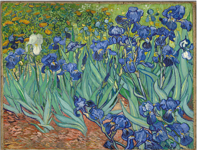 Exposiciones en vida