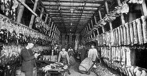 Upton Sinclair releases “The Jungle”