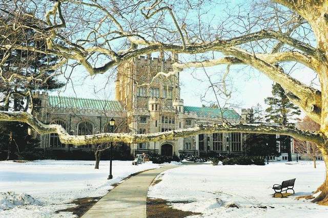 "Build it and they will come."