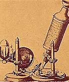 El microscopio compuesto