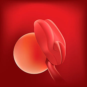 2da semana Epidermis